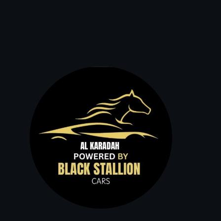 black_stallion_car-avatar